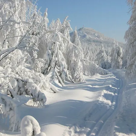 Appartement Hockert *