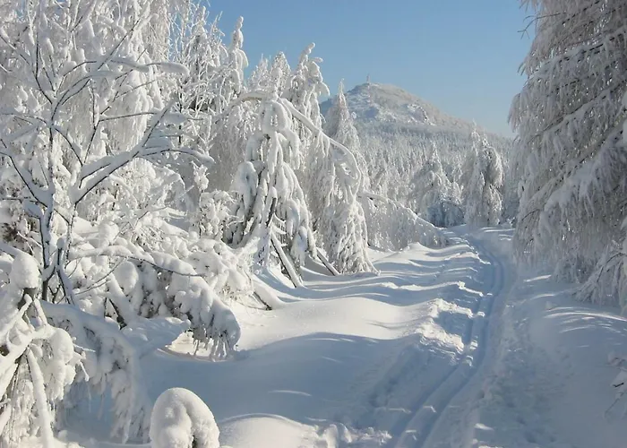 Апартаменты Hockert *