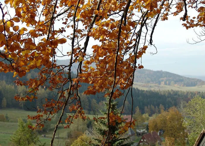 Hockert Апартаменты *